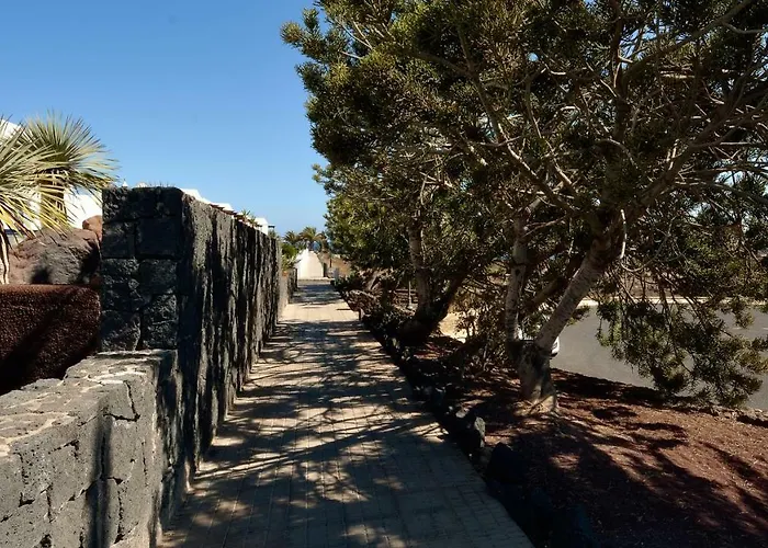 Lobos Playa Blanca (Lanzarote)